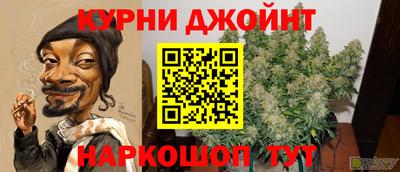 СК Гагарин