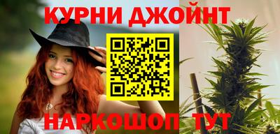 jwh Гатчина