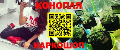 метадон Гай