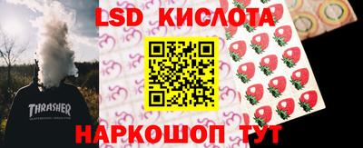 jwh Гатчина