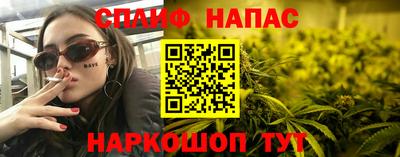 СК Гагарин
