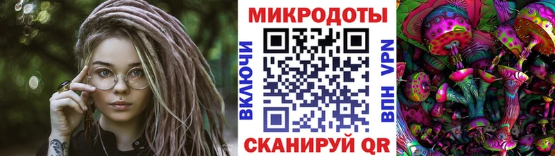 закладка  Реутов  Псилоцибиновые грибы MAGIC MUSHROOMS 