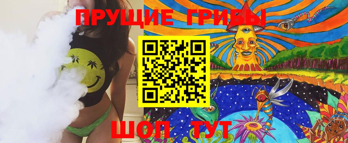 купить   Вход с VPN  Реутов  Галлюциногенные грибы GOLDEN TEACHER 