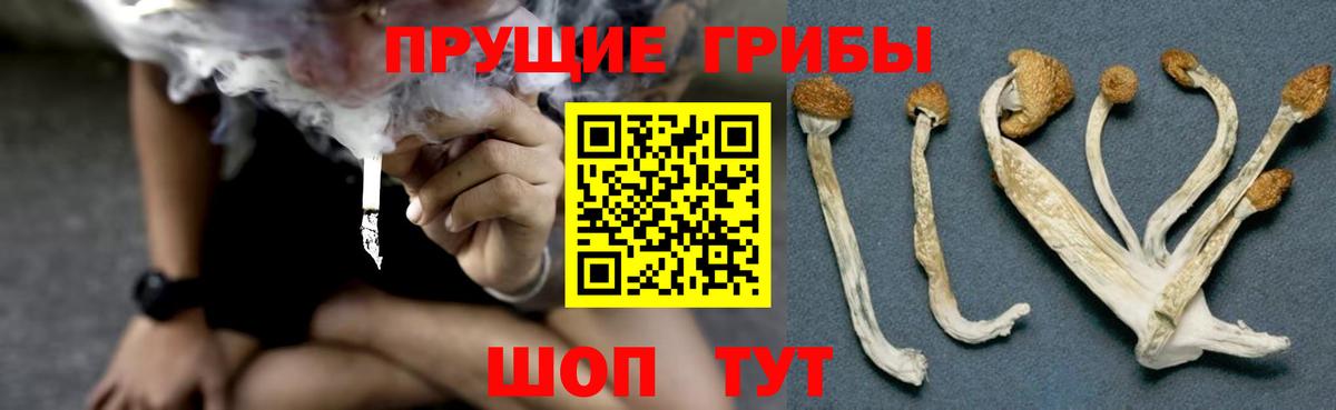 Галлюциногенные грибы GOLDEN TEACHER Реутов